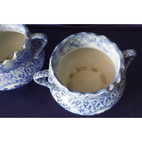 Blauw witte plantenpotten, gemerkt